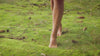 Gaia Cosmic Earthing